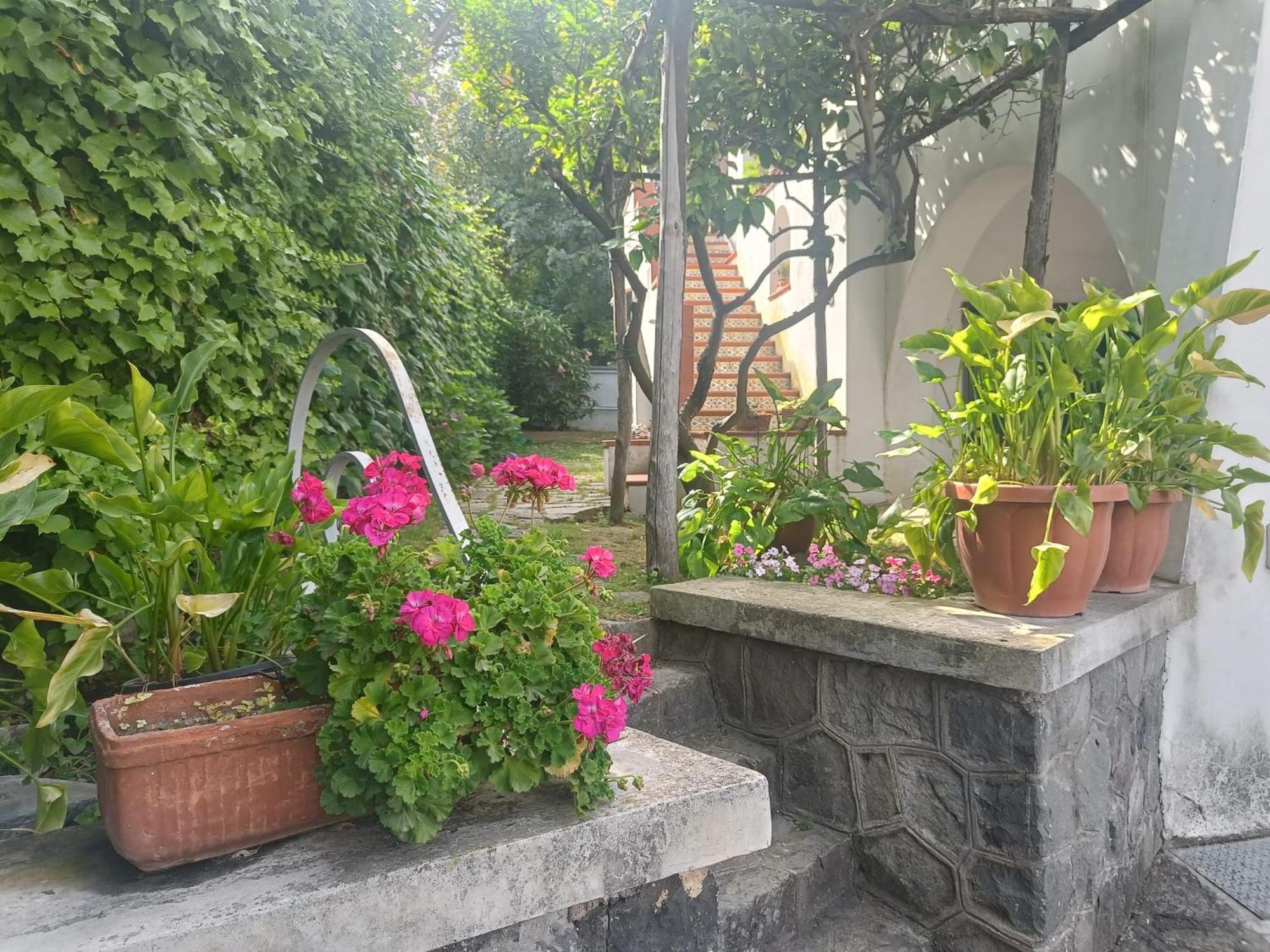 شقة Casa Olivella توري دل غريكو المظهر الخارجي الصورة